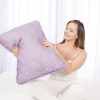 Lavender Dream Dormeo Pillow